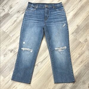 Buffalo David Bitton Stonewashed High Rise Straight Jayden Relaxed Ankle Jeans